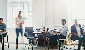 busy, bright, office space researching leasing and financial solutions for service industry with Florian Gap Trust